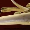 Shoulder Straps, Swiss, Luger, Parade, Holster, Original, Switzerland, Handgun, Pistol, Police, White Leather