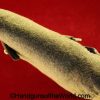 Webley, Mark VI, MkVI, Mk.VI, Mk VI, Mark 6, Mk6, Mk.6, Mk 6, Revolver, Holster, Original, British, Britain, UK, United Kingdom, England, English, Felt, Mint