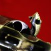 Colt, 1878, 1902, .45 LC, Alaskan Model, Alaskan, .45, .45 Long Colt, Handgun, Revolver, C&R, Collectible, USA, America, American, Excellent, US