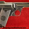 Steyr, 1908/34, 7.65mm, Nazi, Eagle N, Proofed, Full Rig, German, Germany, WWII, WW2, Austrian, Austria, Handgun, Pistol, C&R, Collectible, E/N, Eagle/N