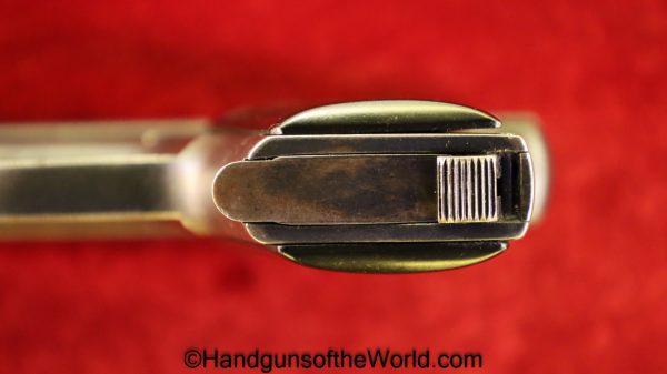 Zehner, Zehna, 6.35mm, Germany, German, Handgun, Pistol, C&R, Collectible, VP, Vest Pocket, 6.35, 25, .25, acp, auto, Hand gun, 1920s, Pre-War, Pre War