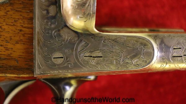 Sauer & Sohn, Ejector, 16 Gauge, Double Barrel, Shotgun, Geco, Retailer Marked, Factory Engraved, German, Germany, SxS, 16GA, 16 GA, Sauer, Longarm