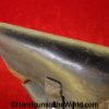 Astra 600 Holster-WWII German Issue - Image 5