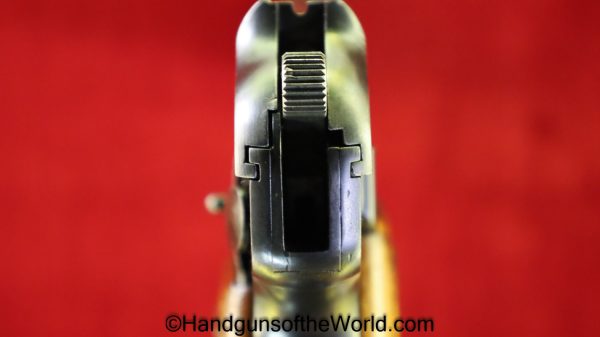 W&F Bern 44/16, P-43, 9mm Swiss Prototype - Image 12